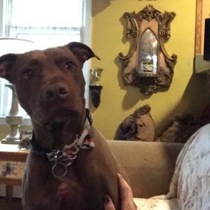 Meet your Posher, Giulia